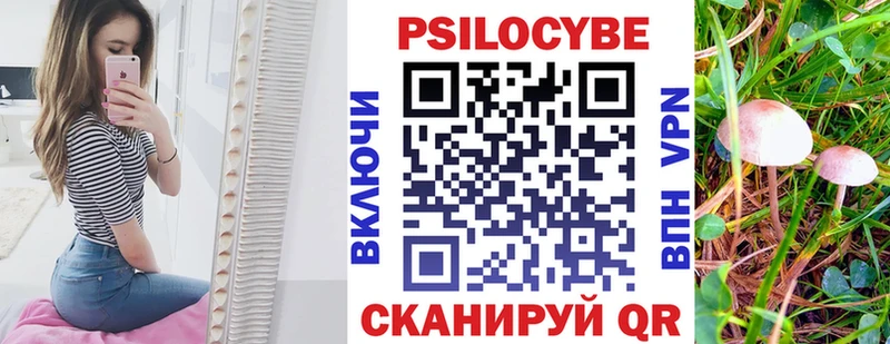 где купить наркоту  Невьянск  Галлюциногенные грибы GOLDEN TEACHER 